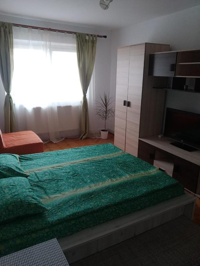 锡比乌Apartament Erik公寓 外观 照片